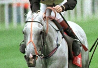 Classic heroes and Arc angel Rheingold on the list of Barry Hills ...