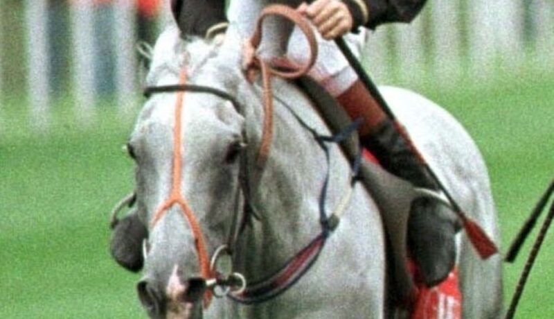 Classic heroes and Arc angel Rheingold on the list of Barry Hills ...