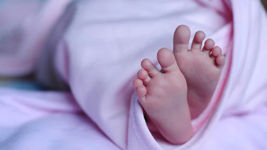 Bones stored for rituals: Kerala live-in couple arrested over deaths of two newborns Bag of Bones: Kerala Man Exposes Shocking Infant Murders After ...