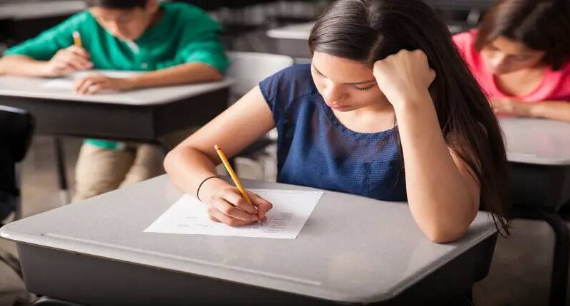 CLAT countdown: Your month-by-month preparation plan to ace the examination CLAT 2024: Last minute preparation tips to ace exam