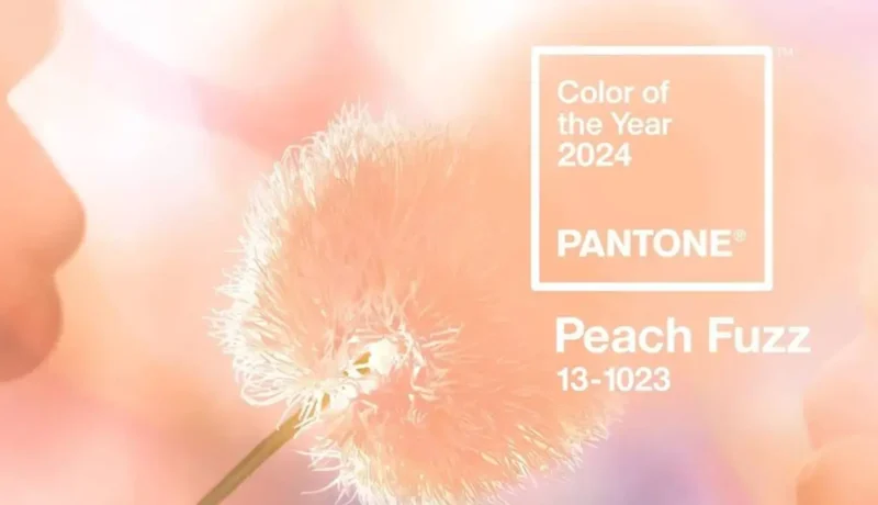 PANTONE COLOR OF THE YEAR 2024 – PEACH FUZZ
