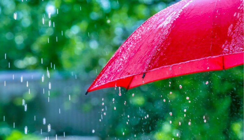 Rain, dangers and roadblocks: How to journey safely this monsoon
