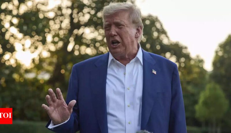 Trump's 'big, beautiful bill': How US president could change ...