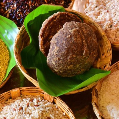 a-seeds-exhibition-in-coimbatore-showcases-100-sorts-of-native-paddy-varieties