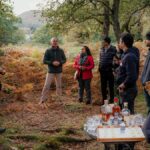 tour-whisky-distilleries-in-scotland,-india-and-japan-this-vacation-season