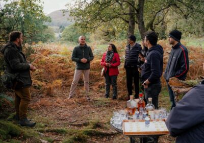 tour-whisky-distilleries-in-scotland,-india-and-japan-this-vacation-season