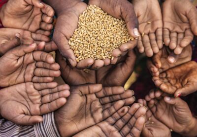 no-nation-with-28%-poverty-can-declare-to-be-fourth-most-equal-on-this-planet:-congress