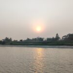 at-the-bhitarkanika-national-park,-set-sail-and-spot-a-crocodile