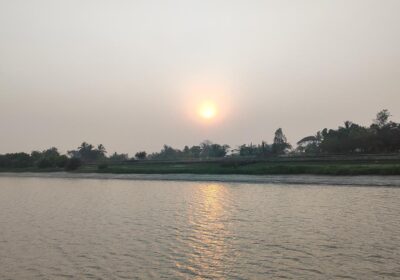 at-the-bhitarkanika-national-park,-set-sail-and-spot-a-crocodile