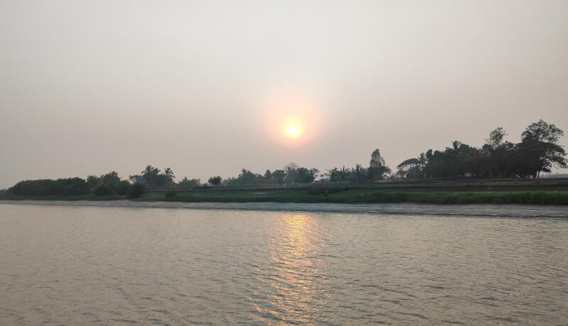 At the Bhitarkanika National Park, set sail and spot a crocodile at-the-bhitarkanika-national-park,-set-sail-and-spot-a-crocodile
