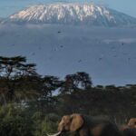 the-highs-and-lows-of-summiting-mount-kilimanjaro-in-eight-days