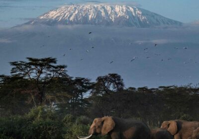 the-highs-and-lows-of-summiting-mount-kilimanjaro-in-eight-days