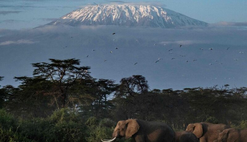 the-highs-and-lows-of-summiting-mount-kilimanjaro-in-eight-days