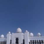 in-abu-dhabi-encounter-shiny-sky-scrapers,-falcons-and-gold-espresso,-all-in-sooner-or-later