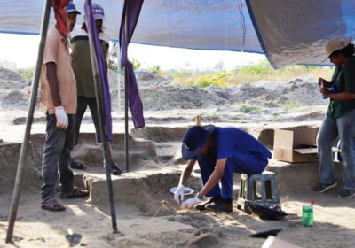 jaffna-mass-grave,-a-take-a-look-at-for-the-dissanayake-authorities
