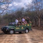 regenerative-journey-|-indian-holidays-that-give-again