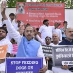former-union-minister,-rwas-protest-for-resolution-to-citys-stray-canine-menace