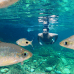 watch-|-want-to-discover-ways-to-swim-within-the-sea?-chennais-open-water-swimming-instructors-reply