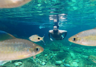 watch-|-want-to-discover-ways-to-swim-within-the-sea?-chennais-open-water-swimming-instructors-reply
