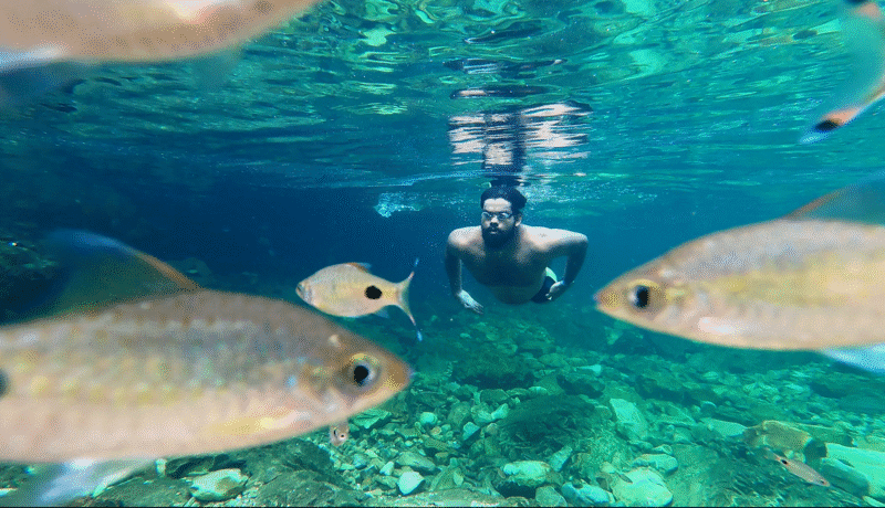 Watch | Want to discover ways to swim within the sea? Chennais open water swimming instructors reply watch-|-want-to-discover-ways-to-swim-within-the-sea?-chennais-open-water-swimming-instructors-reply