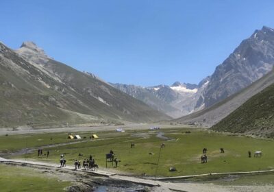 felt-redemption-of-consciousness,-say-overseas-pilgrims-after-amarnath-shrine-darshan