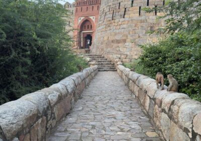 uncovering-the-architectural-marvels-of-delhis-tughlaqabad-fort