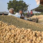 bombay-high-court-dismisses-petition-towards-maharashtras-agri-procurement-scheme,-calls-them-baseless