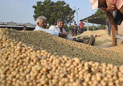 bombay-high-court-dismisses-petition-towards-maharashtras-agri-procurement-scheme,-calls-them-baseless