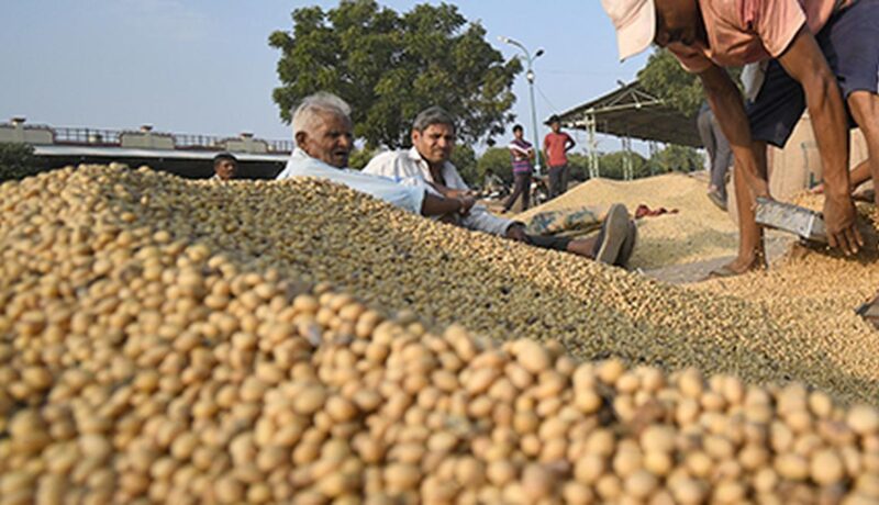 bombay-high-court-dismisses-petition-towards-maharashtras-agri-procurement-scheme,-calls-them-baseless