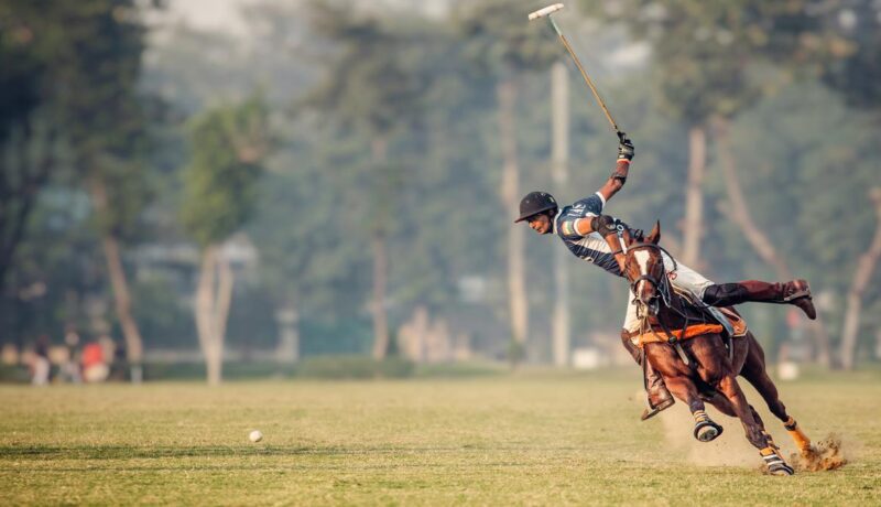 Polo in India: How the game is drawing new spectators polo-in-india:-how-the-game-is-drawing-new-spectators
