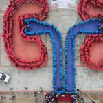 kidney-on-the-market