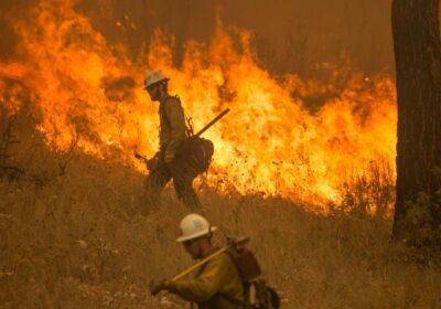 Progress reported in Chelan wildfire fight | king5.com