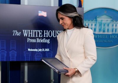 Gabbard's claims of anti-Trump conspiracy not supported by ...