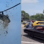 Detroit Man Showers Over ₹4 Lakh In Cash At His Funeral In Last ...