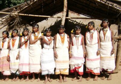 Dongria Kondh Tribals Take on Corporate Goliaths to Save Forests ...