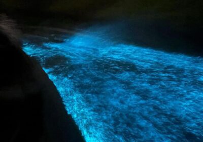 Kayaking on Kochi's bioluminescent backwaters - The Hindu