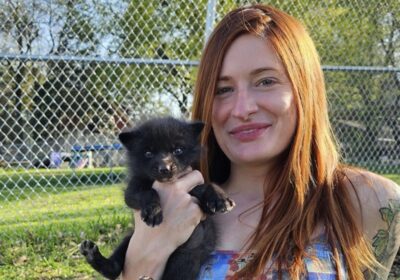 Minnesota animal rescuer's suicide sparks calls to ban Reddit ...