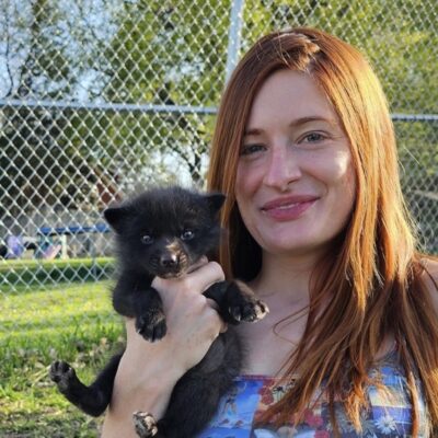Minnesota animal rescuer's suicide sparks calls to ban Reddit ...