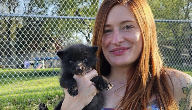 Mikayla Raines demise: Snark subreddit that ‘harassed’ Save A Fox founder for years lastly banned after petition Minnesota animal rescuer's suicide sparks calls to ban Reddit ...