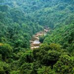 With no primary data on impacts, govt approves EDR outside forests