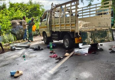 Two tribals killed, 19 injured as mini goods carrier topples near ...