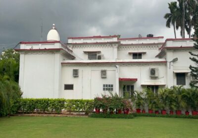 UP: Sandalwood tree worth lakhs stolen from KGMU Vice-Chancellor's ...